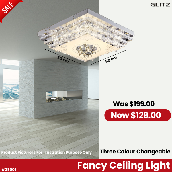 Fancy Ceiling Light 39001