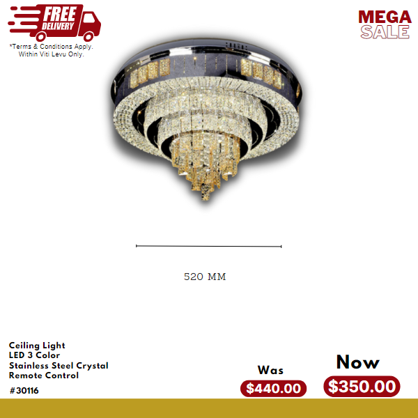 Ceiling Light #30116