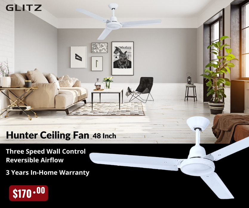 Ceiling Fan 48 Inch