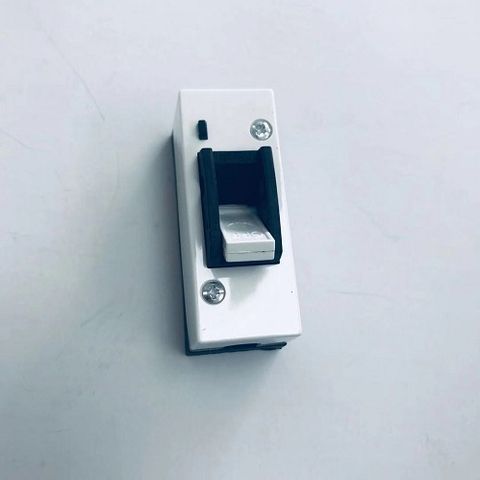 Main Switch 80A Single Pole