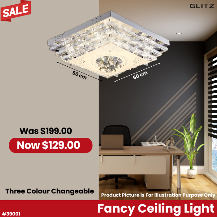 Fancy Ceiling Light 39001
