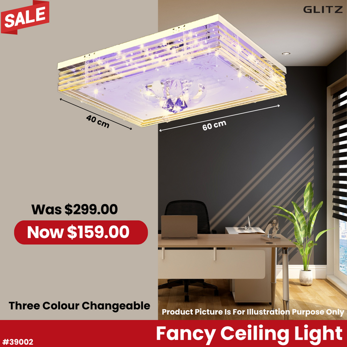 Fancy Ceiling Light 39002