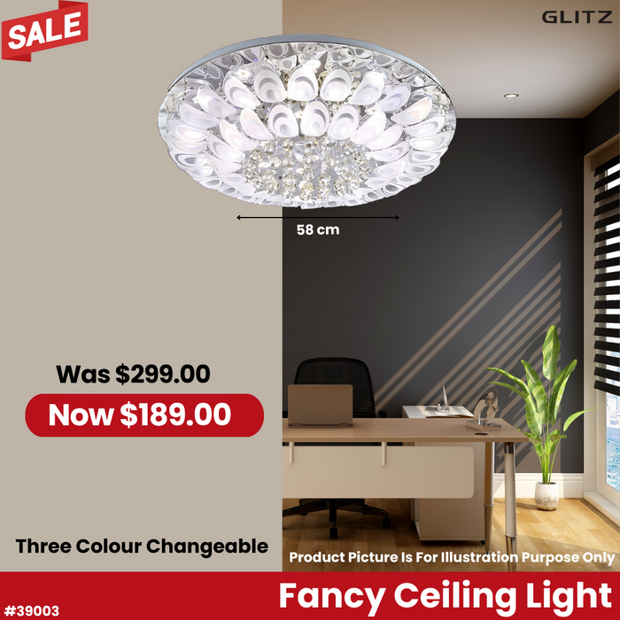 Fancy Ceiling Light 39003