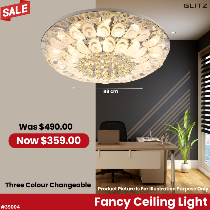 Fancy Ceiling Light 39004