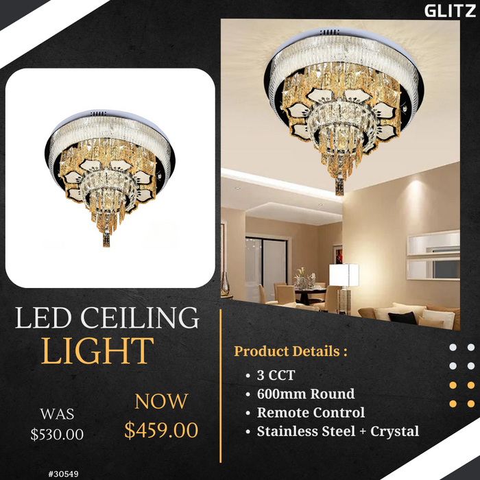 LED Ceiling Light 30549