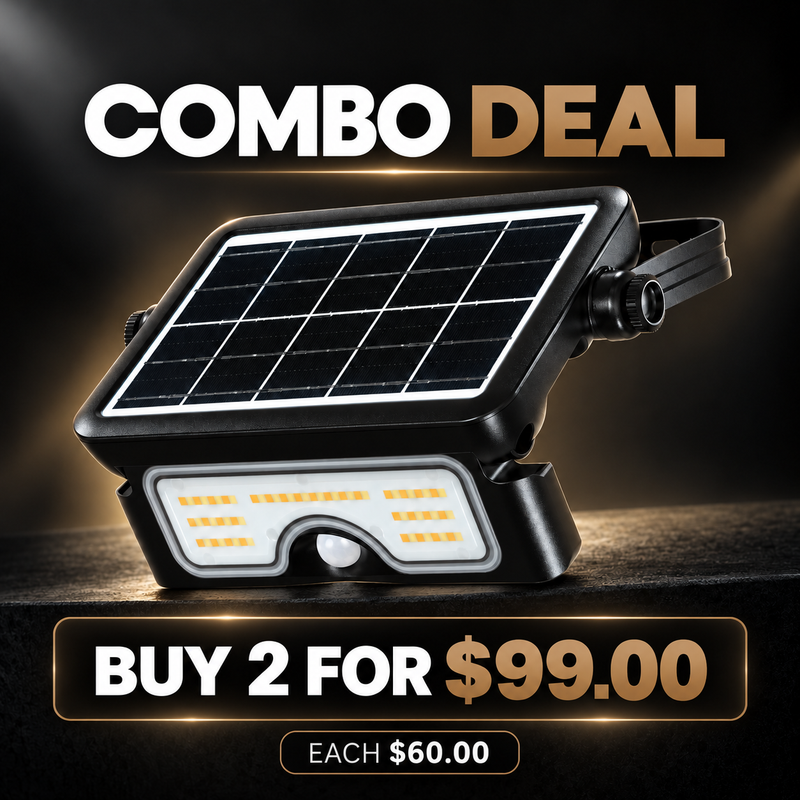 Solar LED Flood Light Compaq 100